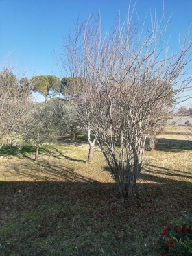 JESI PORZIONE DI CASA - AGENZIA ROSSANA IMMOBILIARE