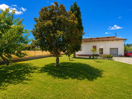 CASA SINGOLA JESI - AGENZIA ROSSANA IMMOBILIARE